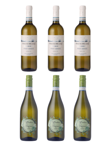 Na istotu � bestseller set (6 flia�)